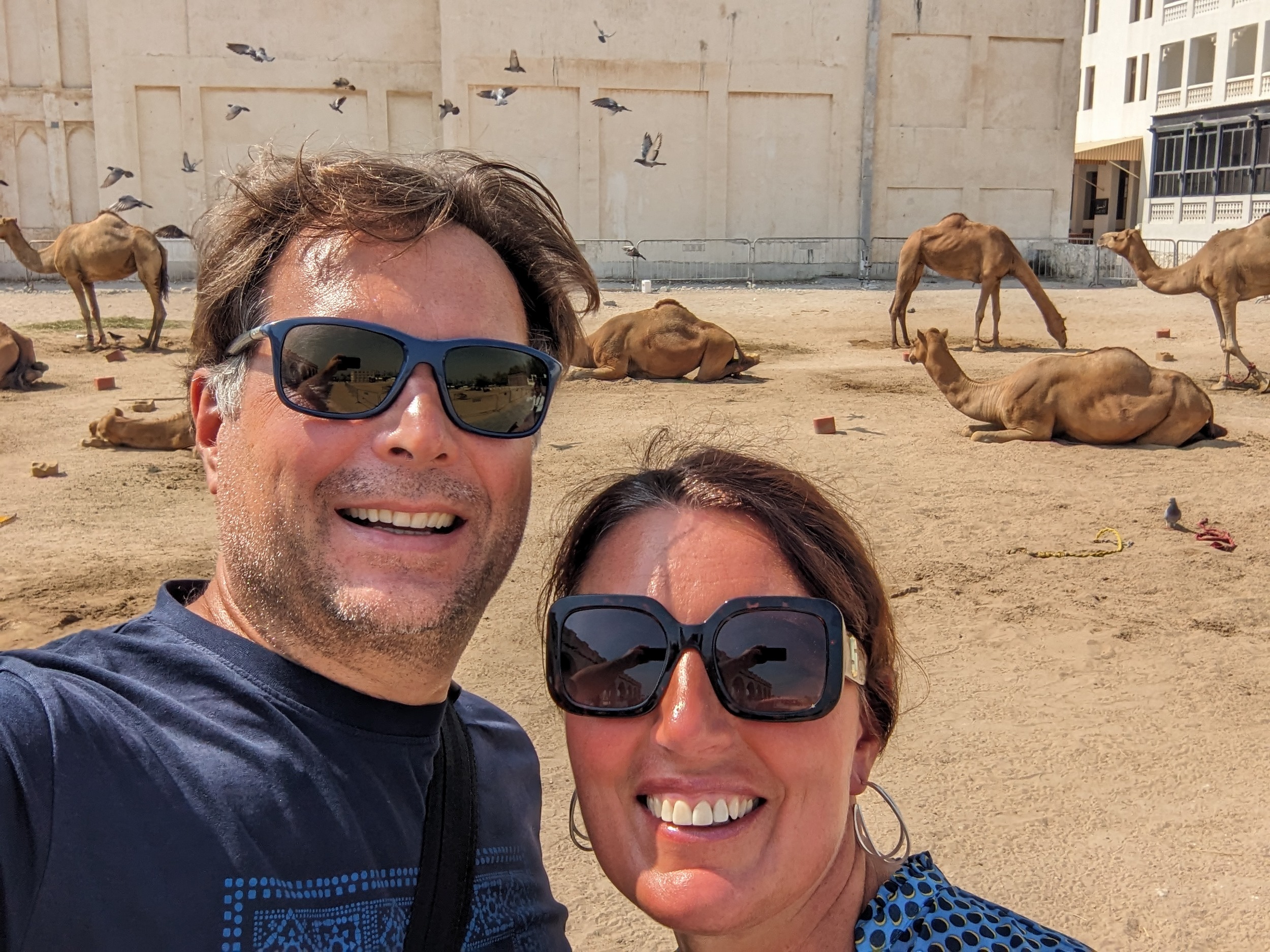 Sabbatical 2 Blog 590