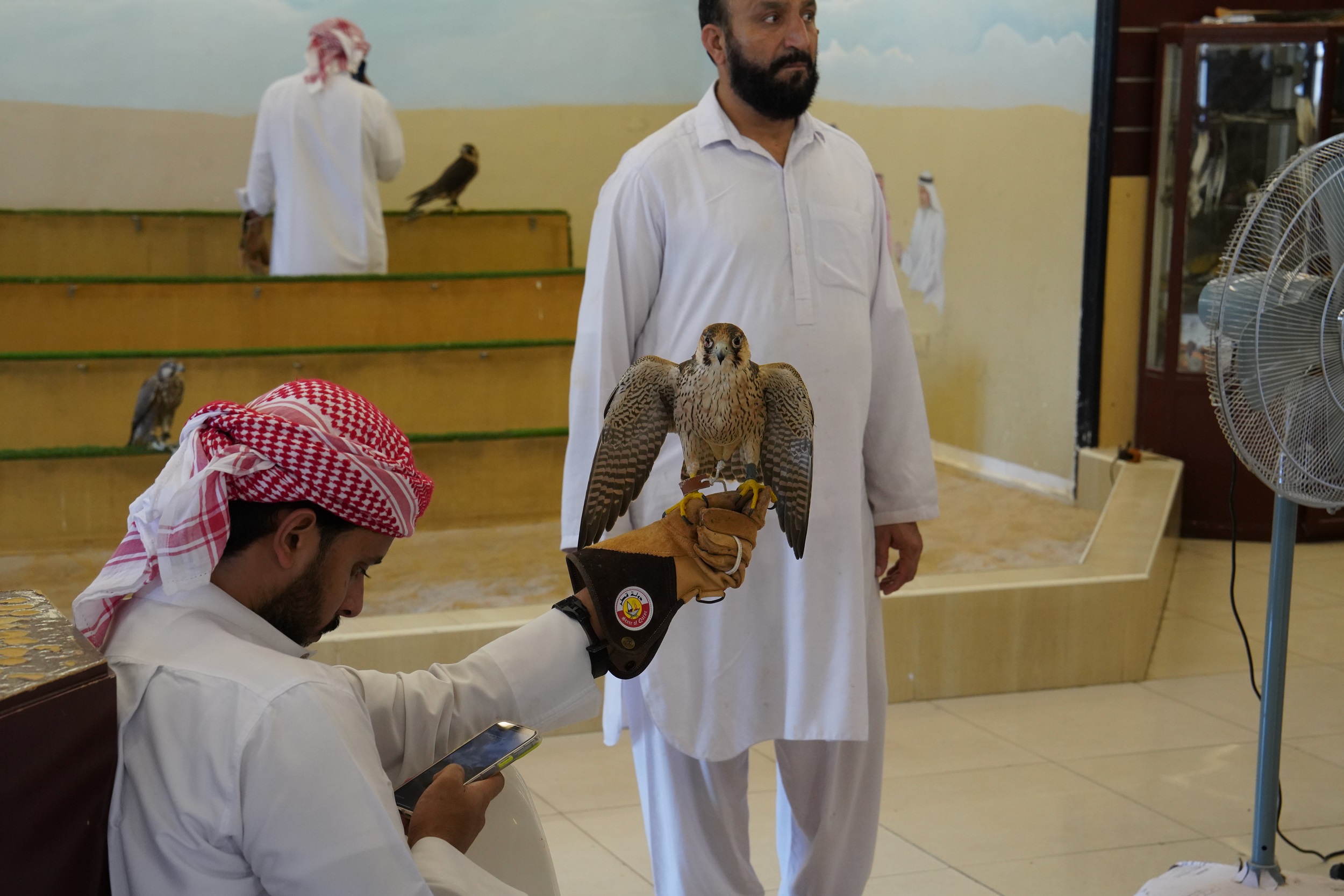 Sabbatical 2 Blog 592