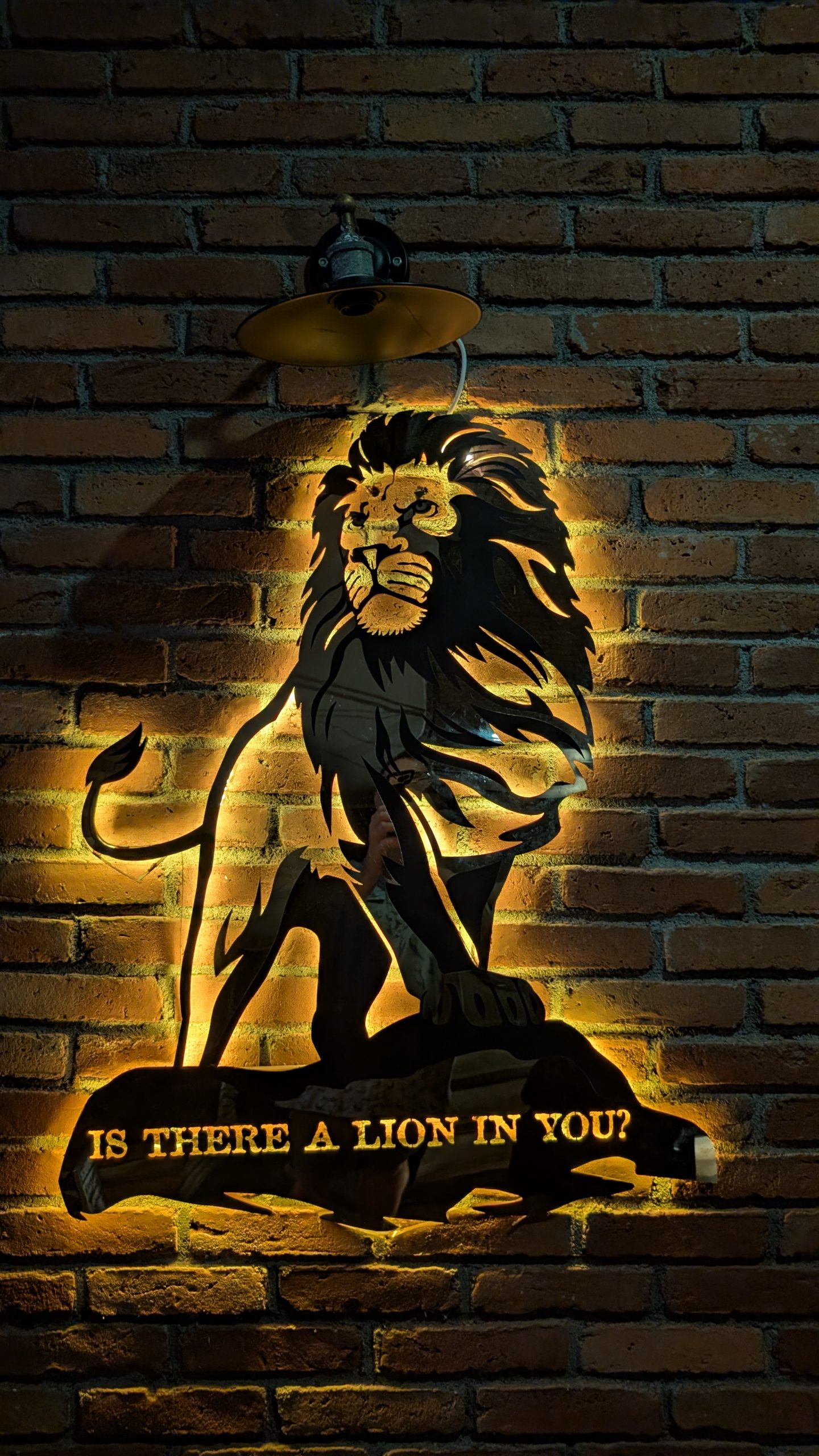 Abends hat uns der Lion gepackt