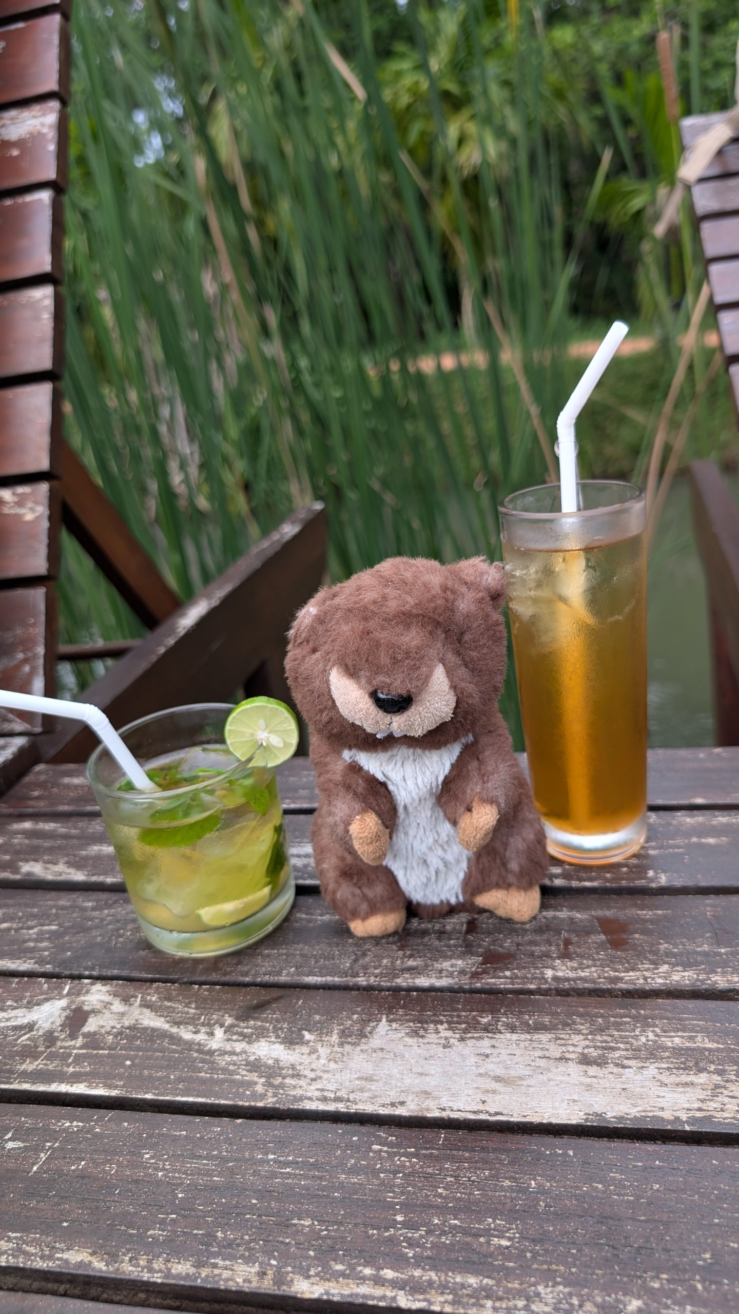 Am Pool wurd es Wild, da war Arthur wieder dabei