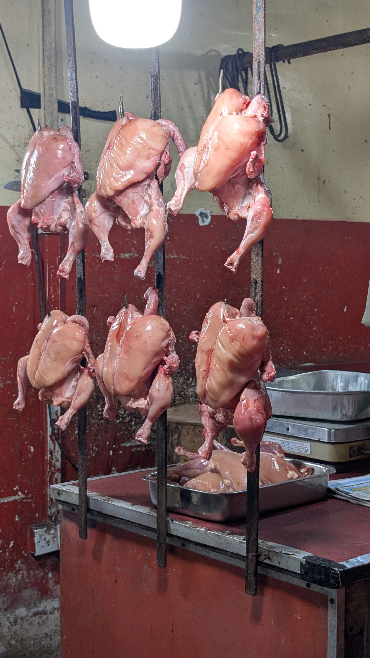 Hühnchen ohne Haut und ungekühlt