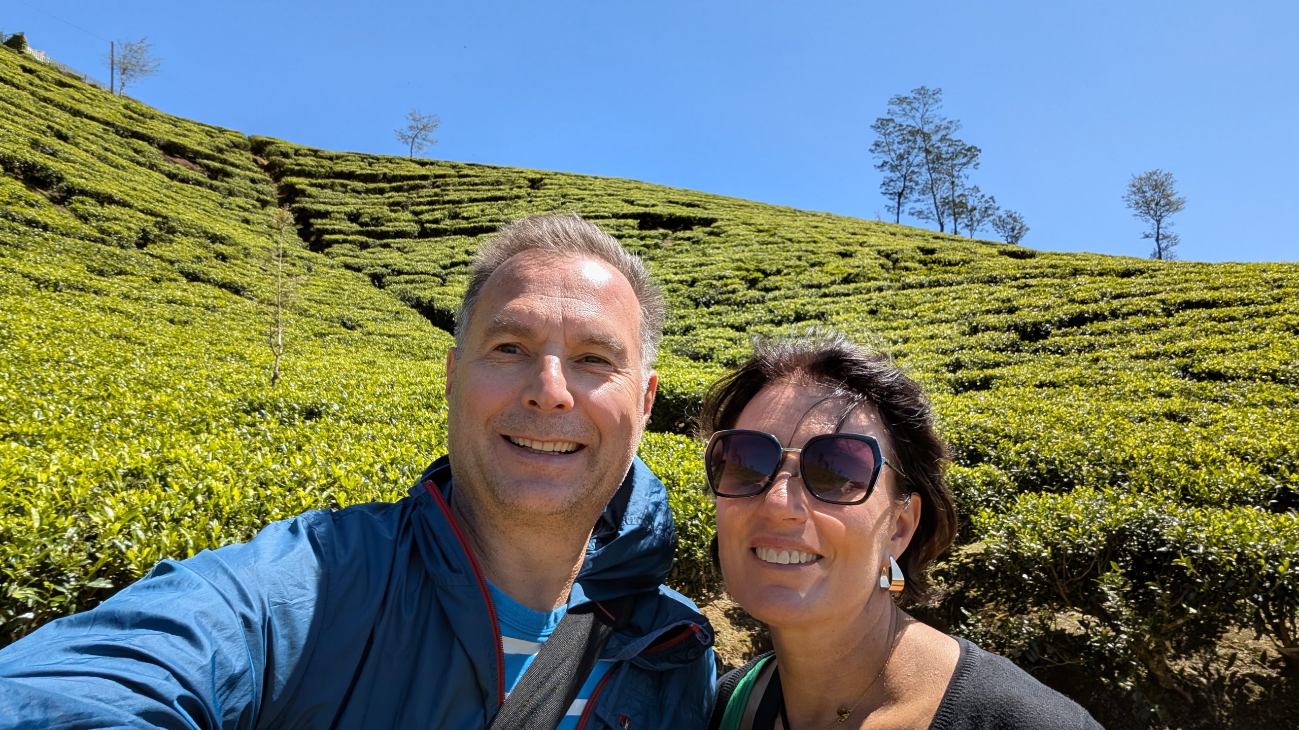 Spaziergang durch die Teeplantage