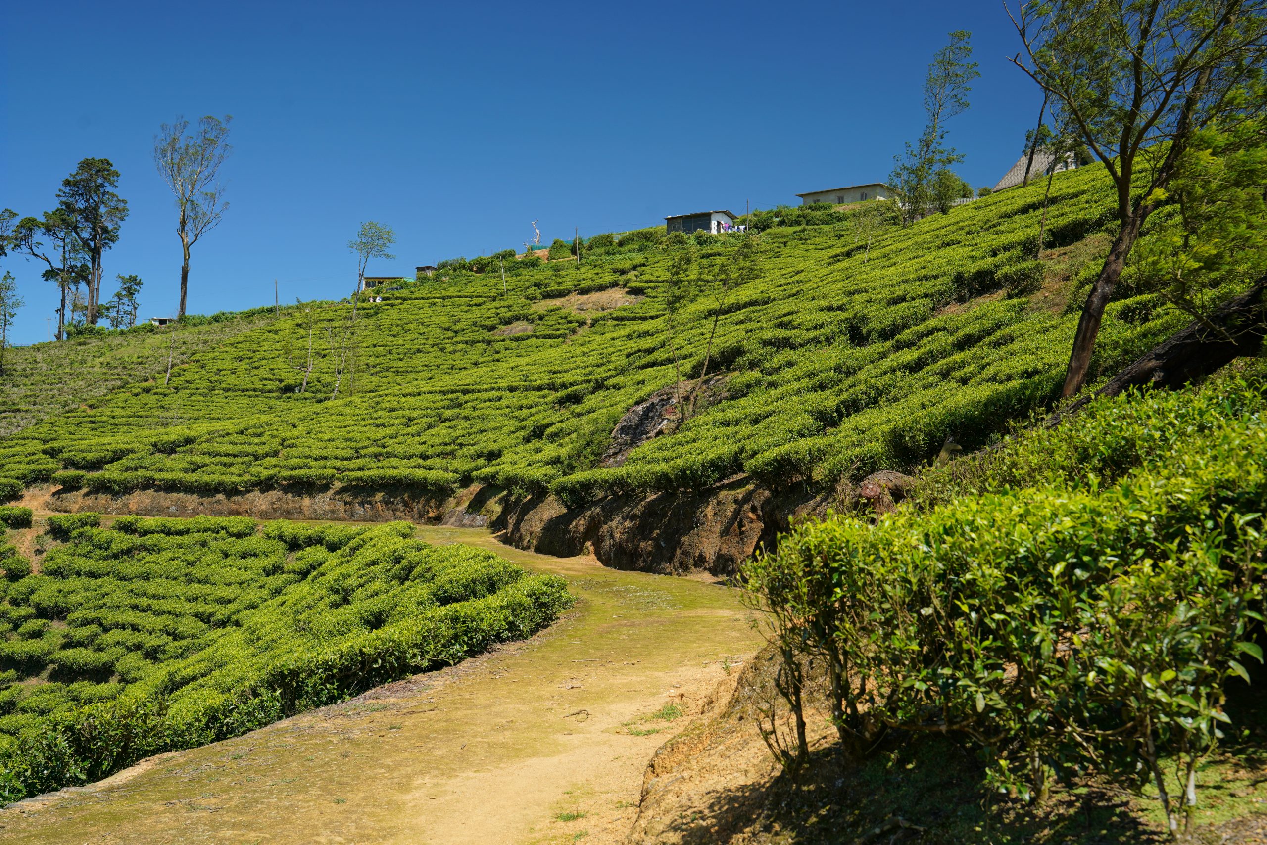Davon kommt noch mehr