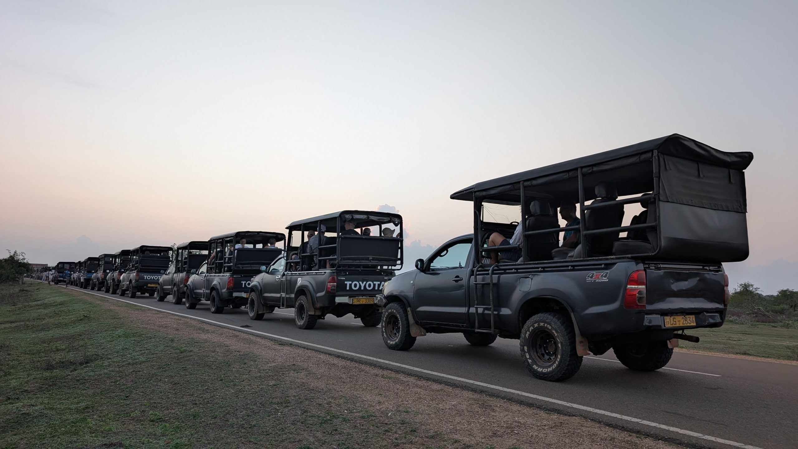 Alle warten auf die Einfahrt in den Park