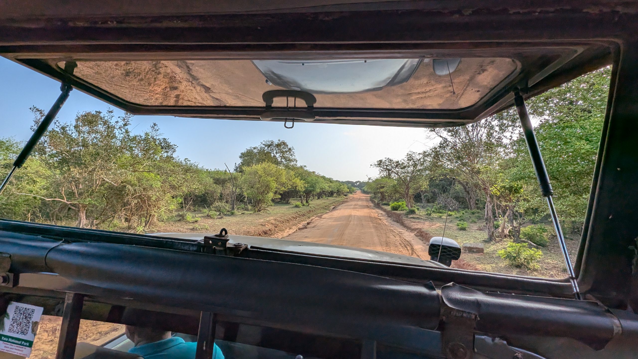 Auf der Piste im Park