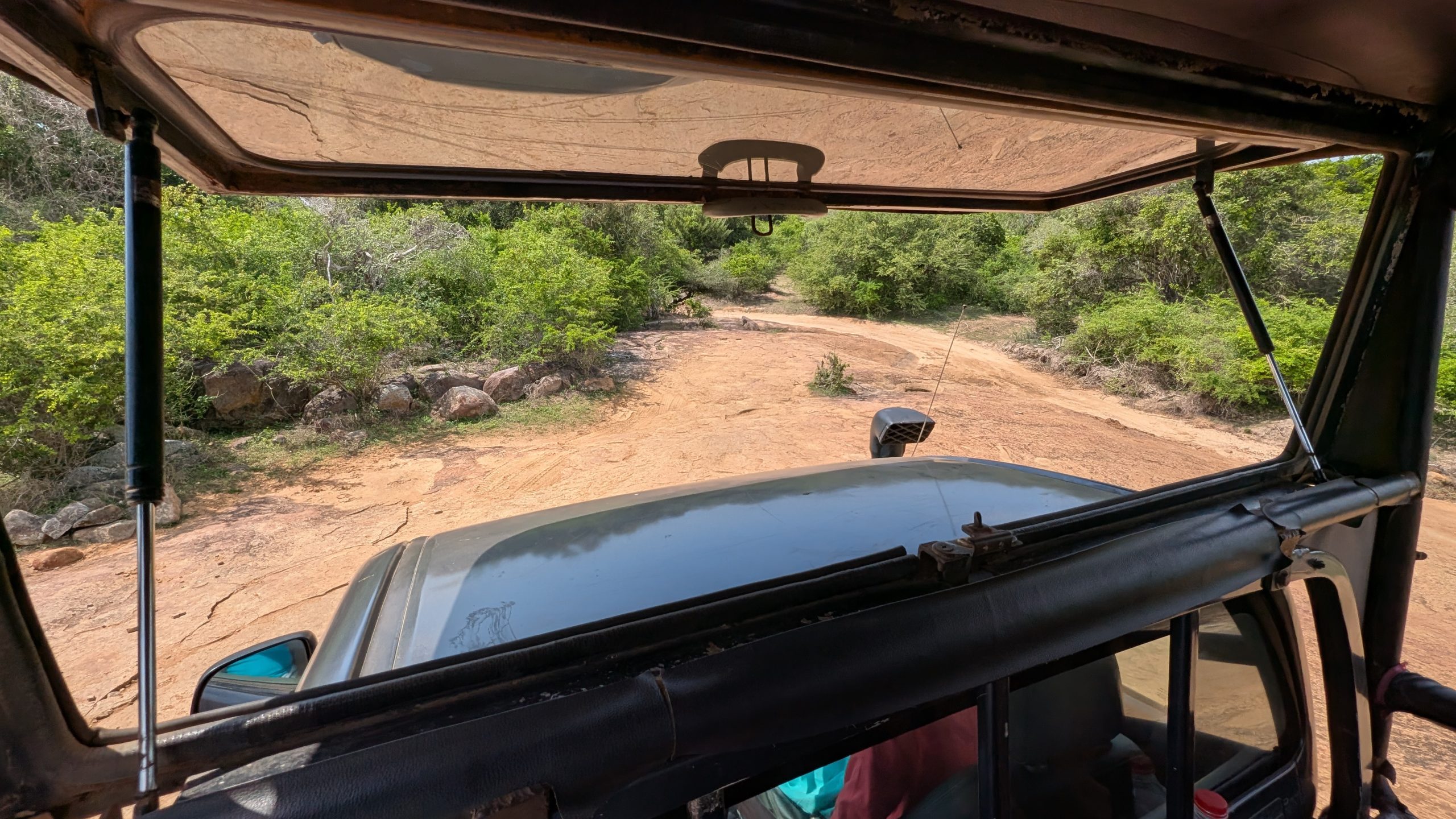 Auf dem Weg zurück in die Zivisilation