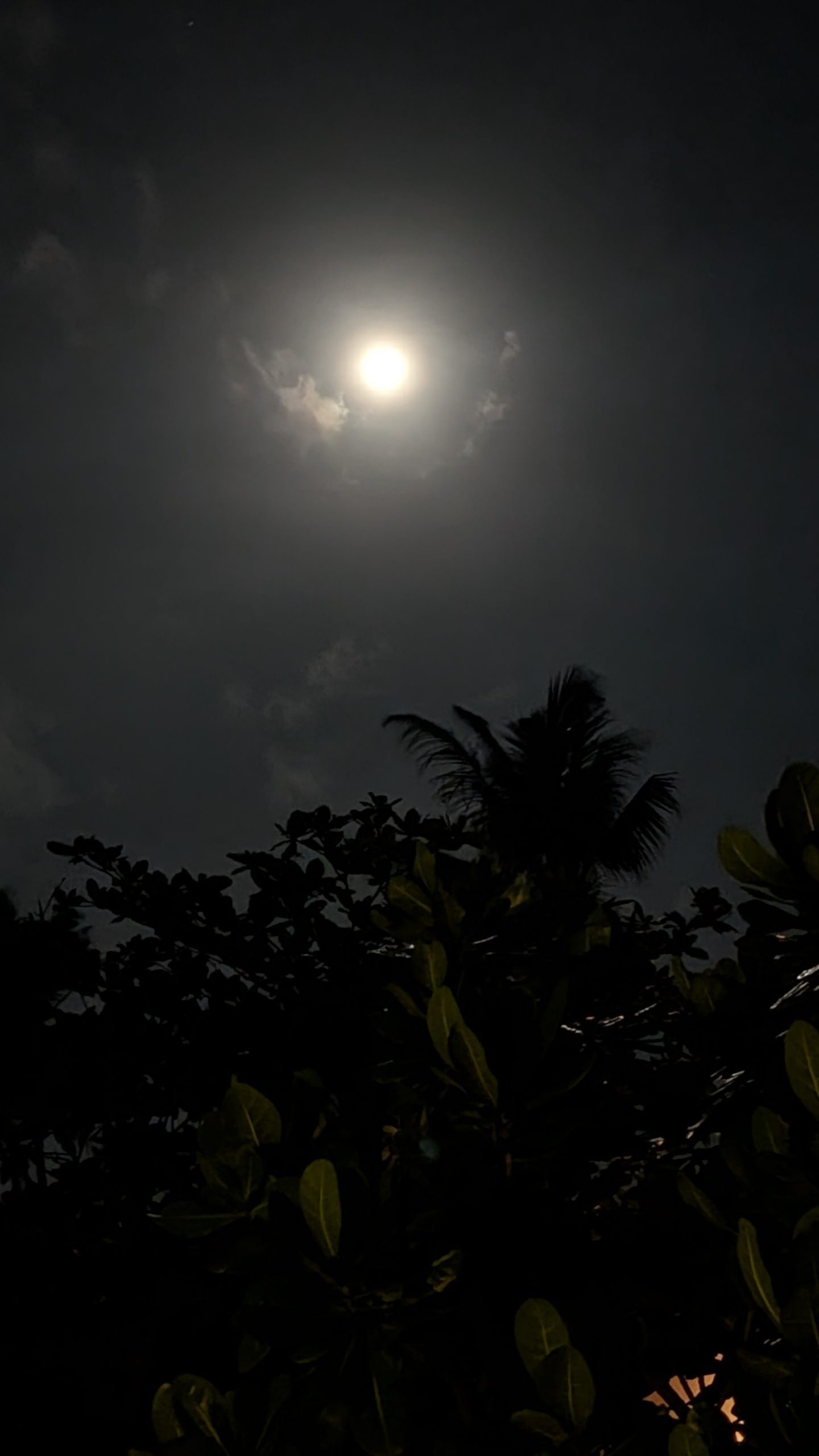 Feiertag in Sri Lanka, Full Moon