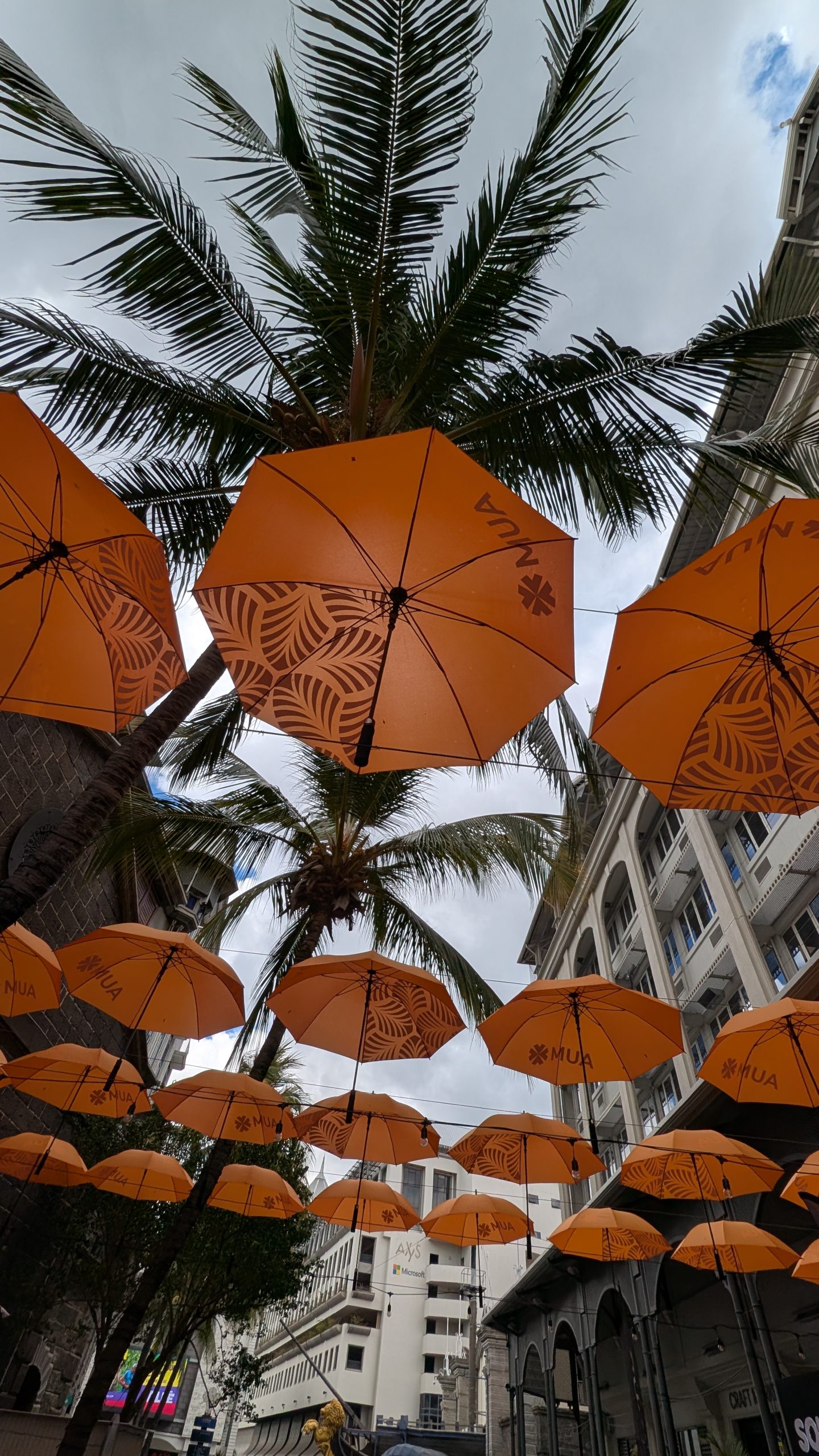 SriLankaMaur_2025_50500